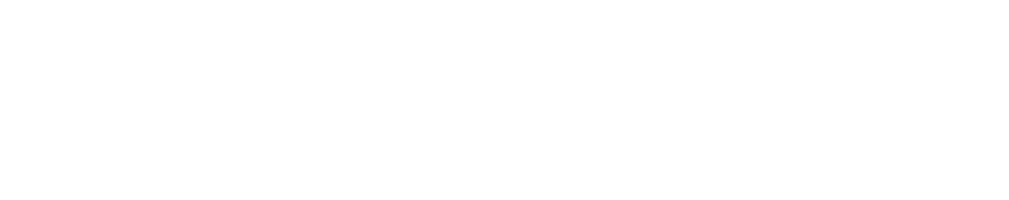 tflr kopie